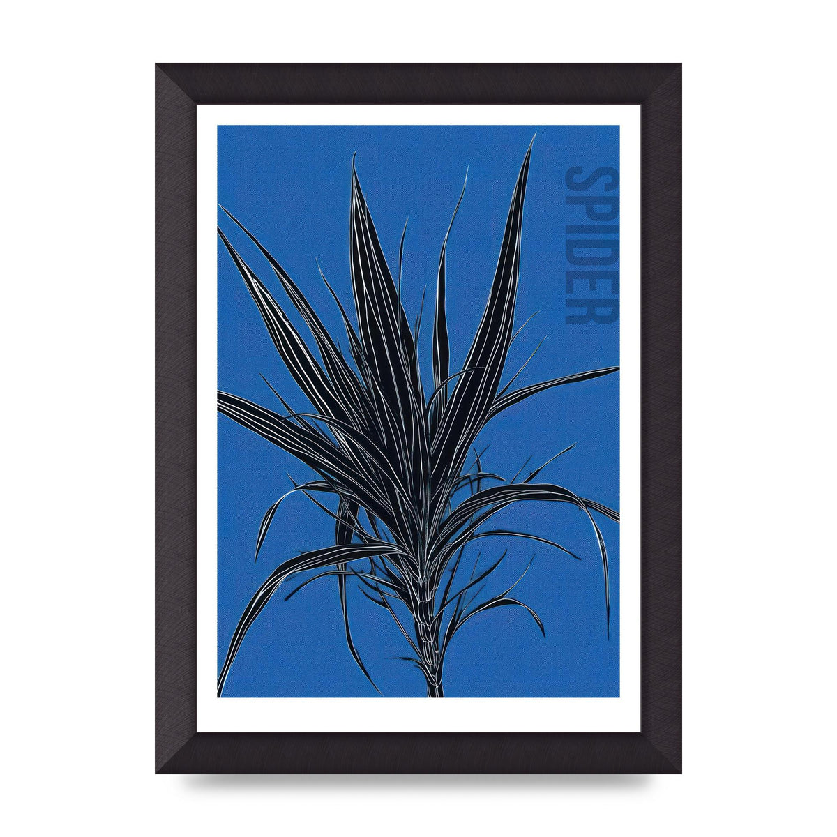 Detailed Spider Plant in Blue