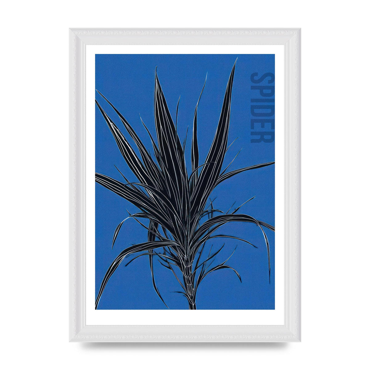 Detailed Spider Plant in Blue