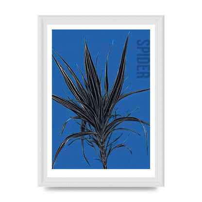 Detailed Spider Plant in Blue