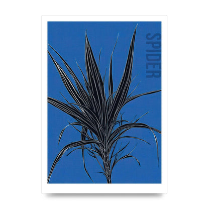 Detailed Spider Plant in Blue