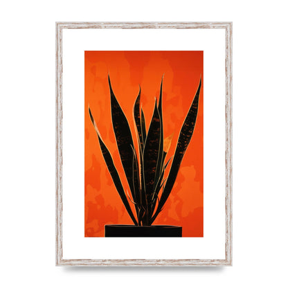 Snake Plants Silhouette on Orange