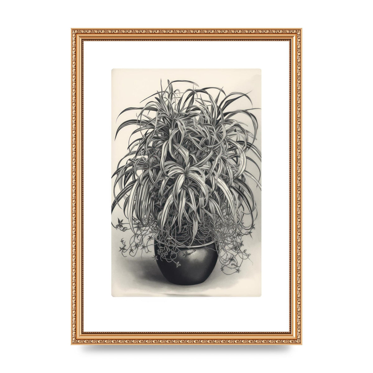 Spider Plant in Bold Monochrome