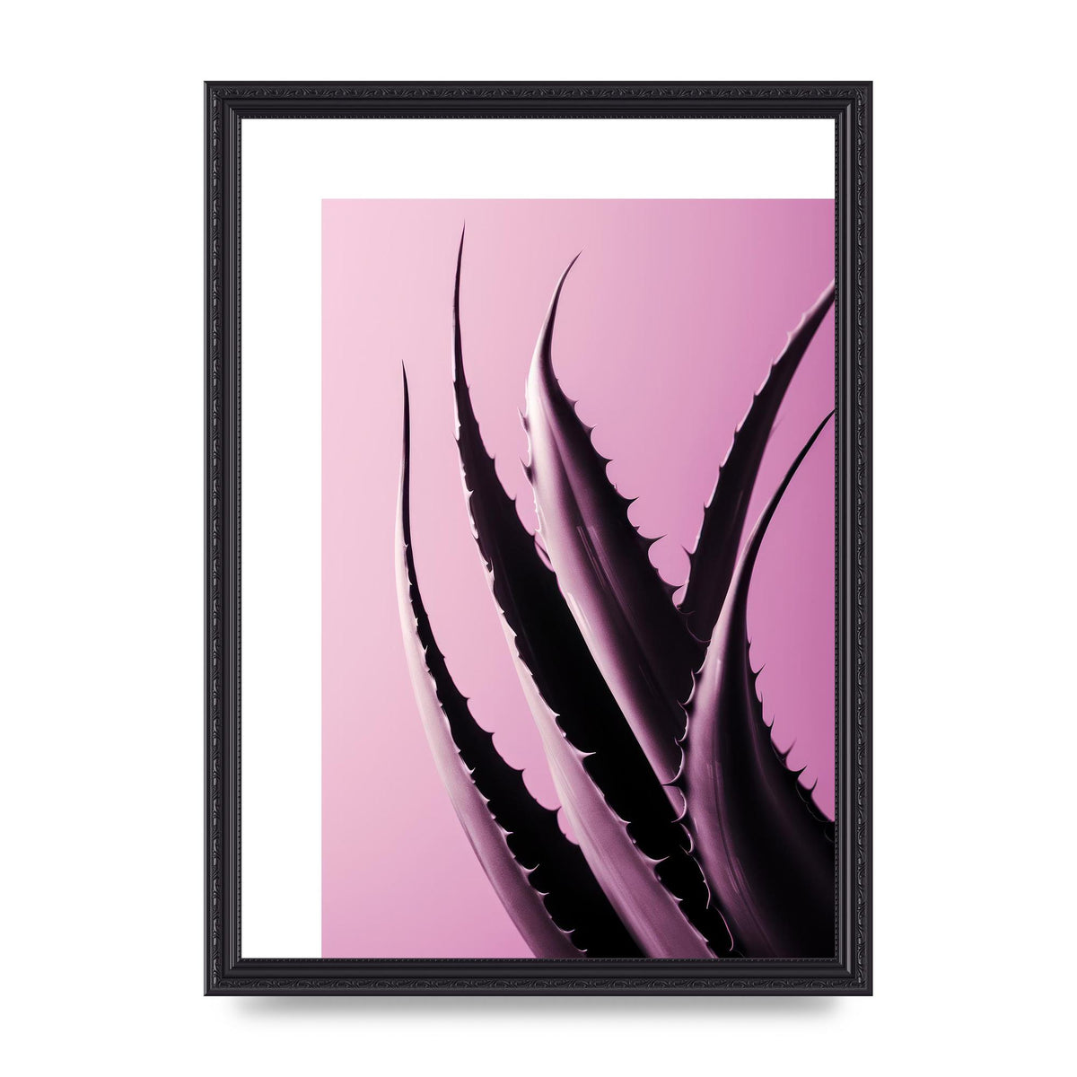 Aloe Vera Leaf in Sleek Black Line