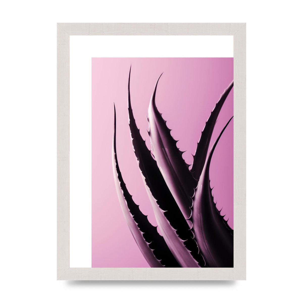 Aloe Vera Leaf in Sleek Black Line
