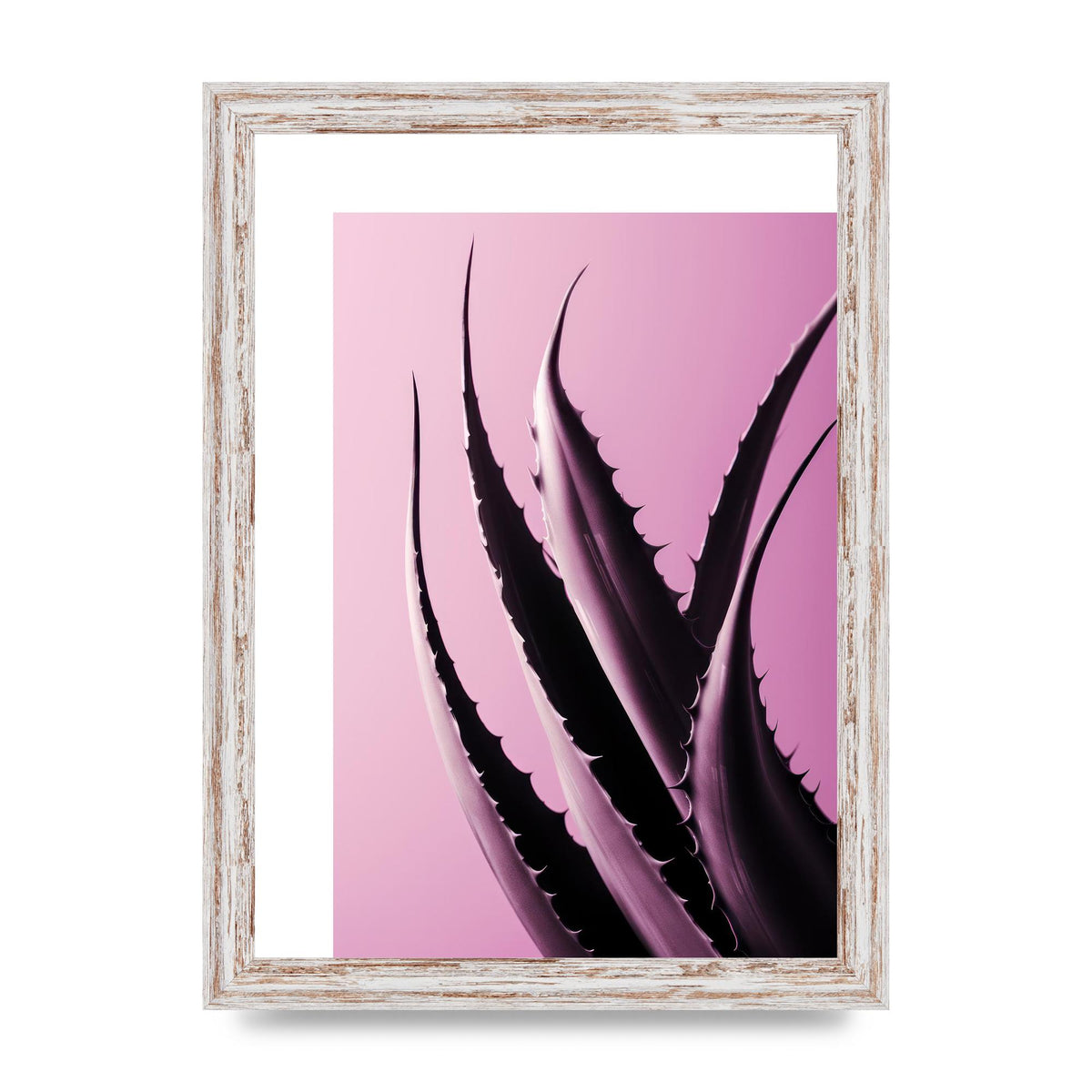 Aloe Vera Leaf in Sleek Black Line