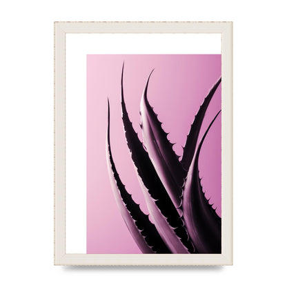 Aloe Vera Leaf in Sleek Black Line