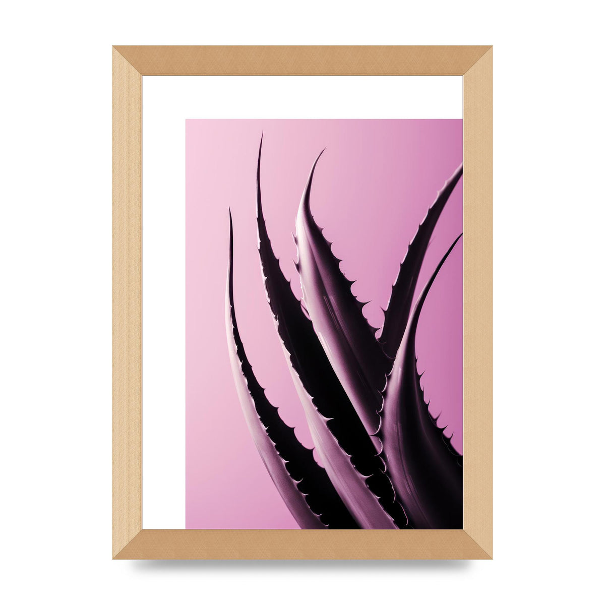 Aloe Vera Leaf in Sleek Black Line