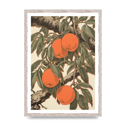 Peach Softness in Woodblock Lines