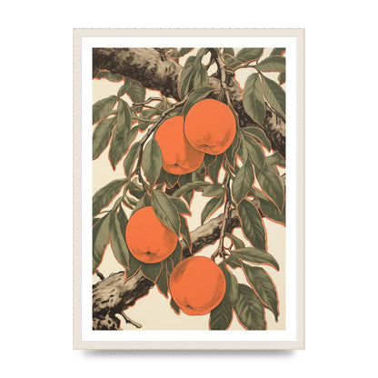 Peach Softness in Woodblock Lines