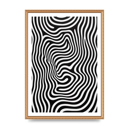 Geometric Form Defying Perception in Black and White