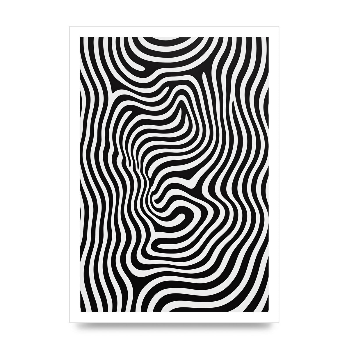 Geometric Form Defying Perception in Black and White