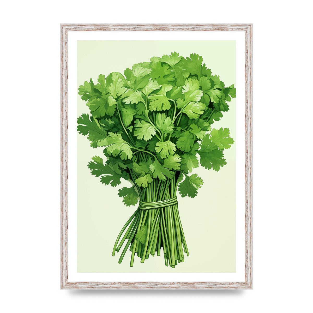 Cilantros Delicate Stems Graphic Riso
