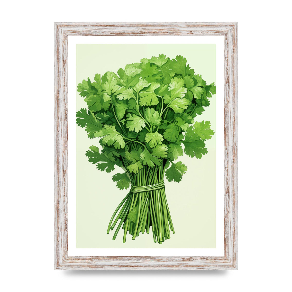 Cilantros Delicate Stems Graphic Riso