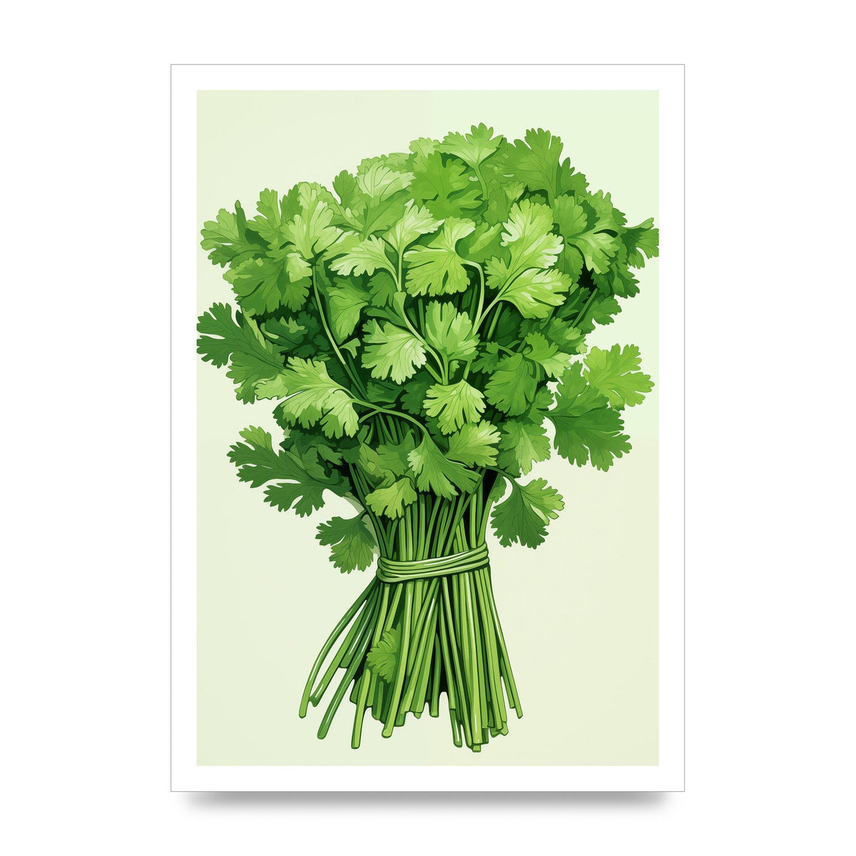 Cilantros Delicate Stems Graphic Riso