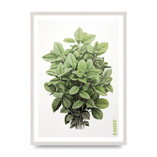 Mint Leaves Black and White Refreshment
