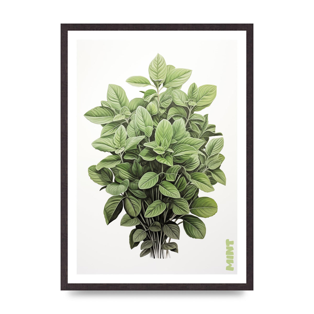 Mint Leaves Black and White Refreshment