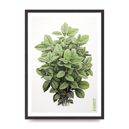Mint Leaves Black and White Refreshment