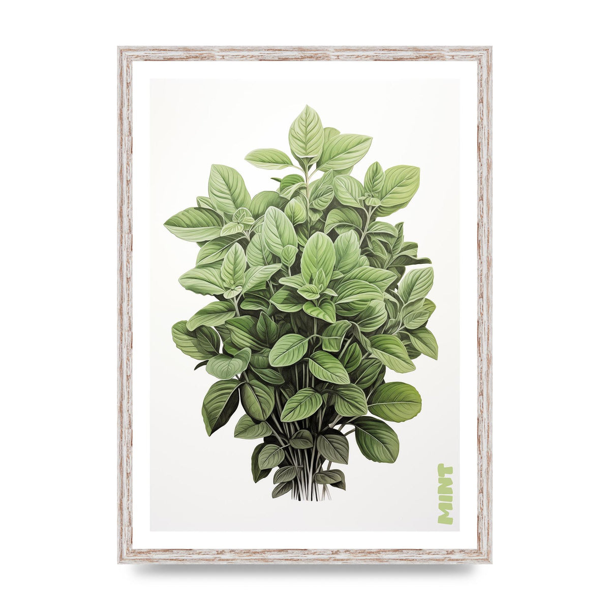 Mint Leaves Black and White Refreshment