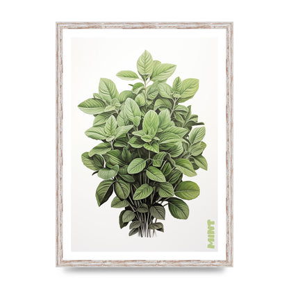 Mint Leaves Black and White Refreshment