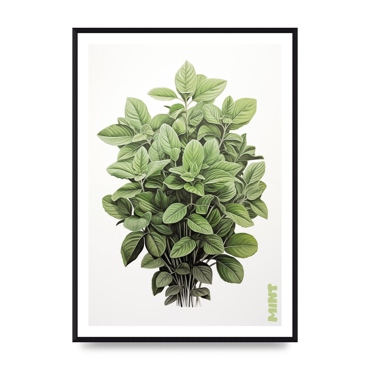 Mint Leaves Black and White Refreshment
