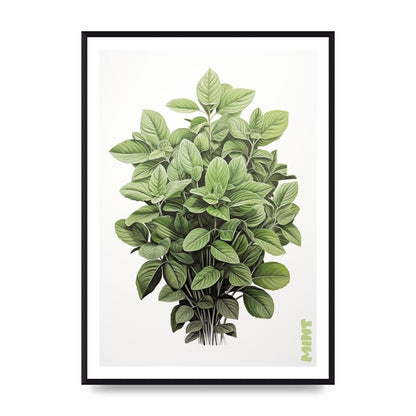 Mint Leaves Black and White Refreshment