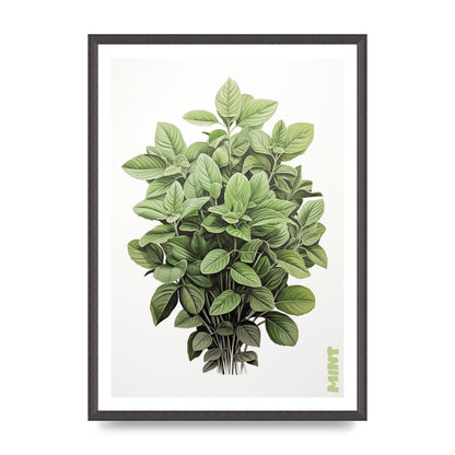 Mint Leaves Black and White Refreshment