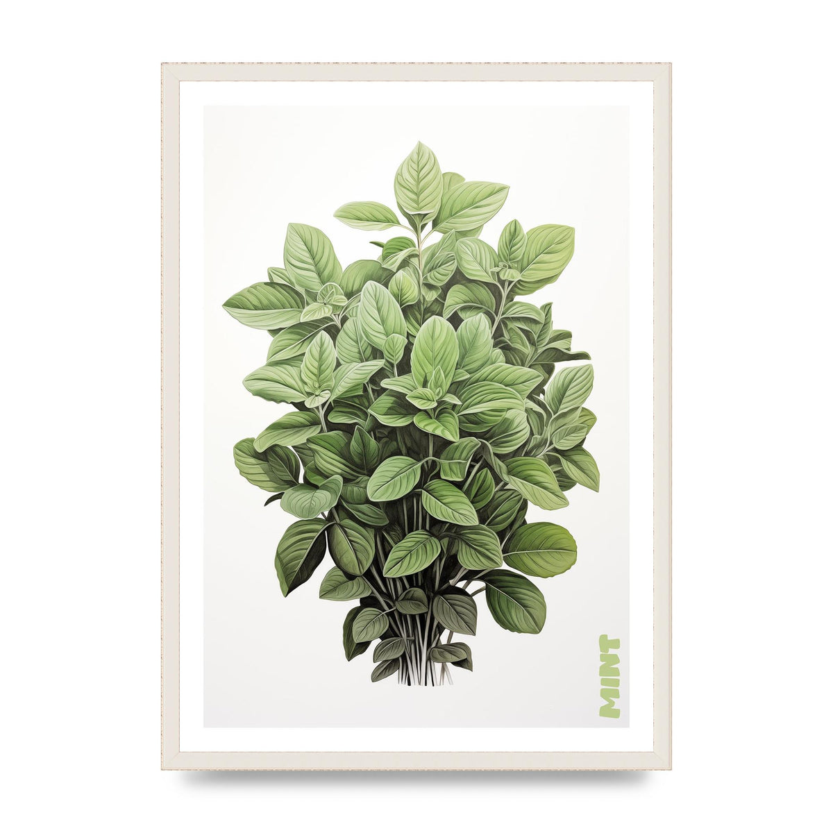 Mint Leaves Black and White Refreshment