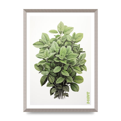 Mint Leaves Black and White Refreshment