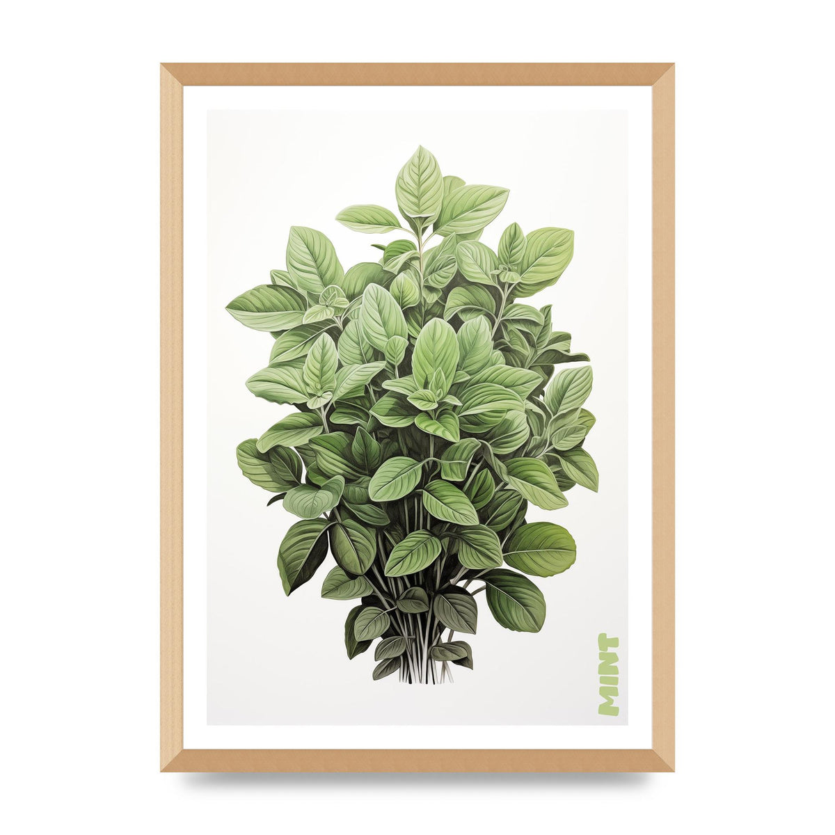 Mint Leaves Black and White Refreshment