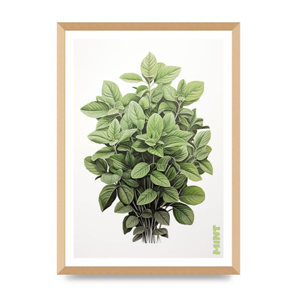 Mint Leaves Black and White Refreshment