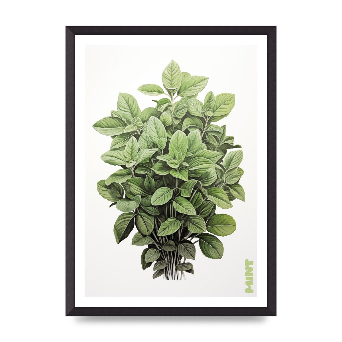 Mint Leaves Black and White Refreshment
