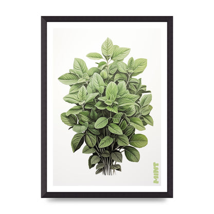 Mint Leaves Black and White Refreshment