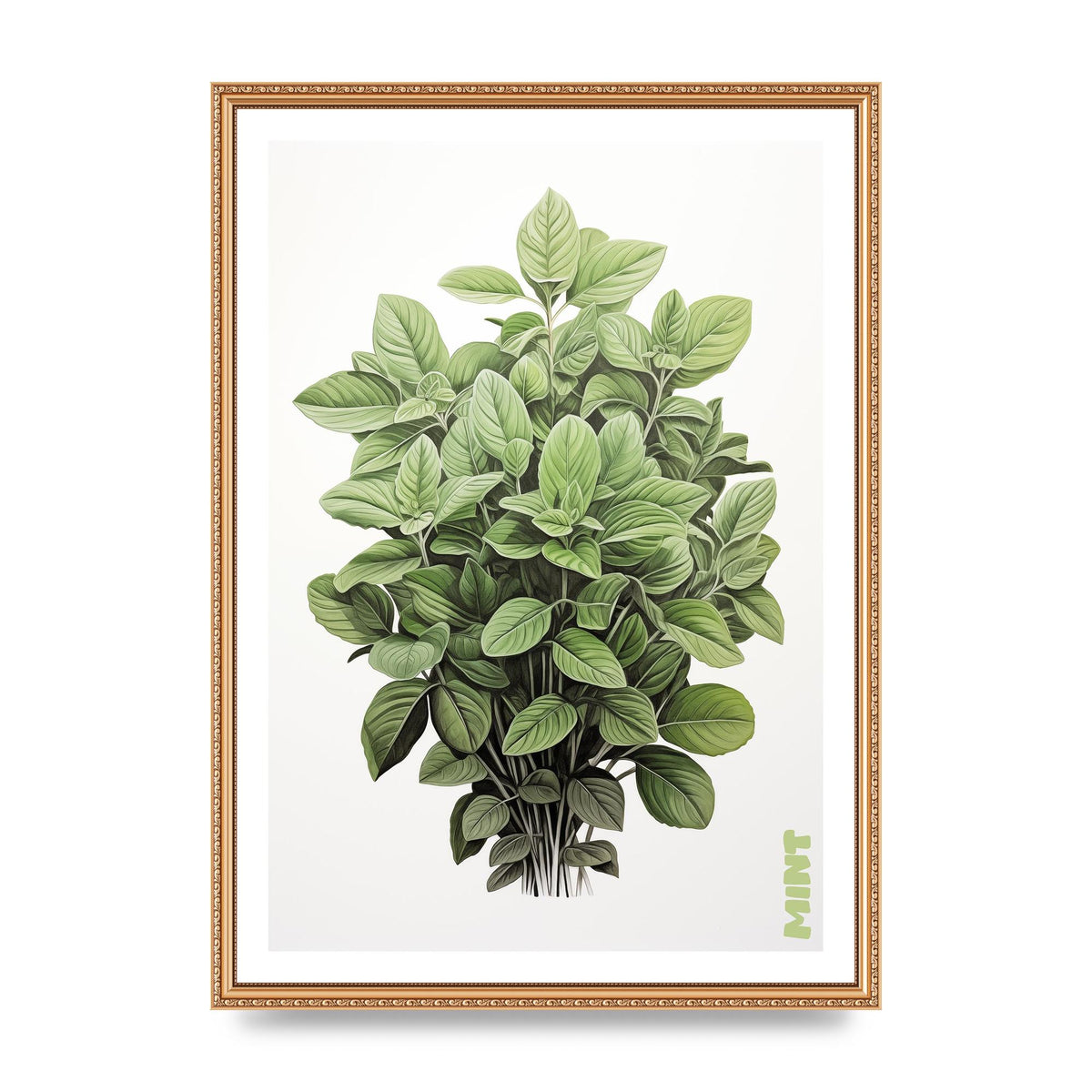 Mint Leaves Black and White Refreshment