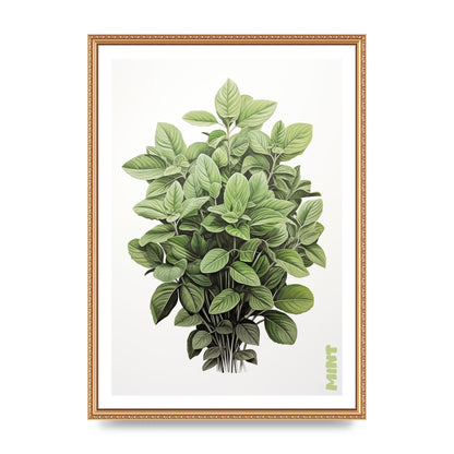 Mint Leaves Black and White Refreshment