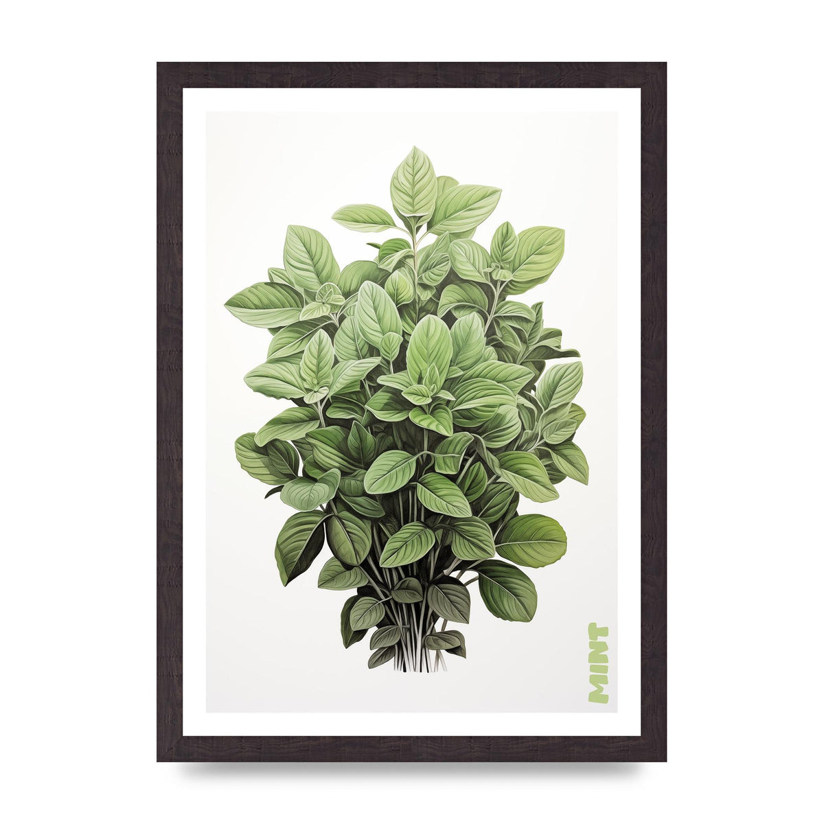 Mint Leaves Black and White Refreshment