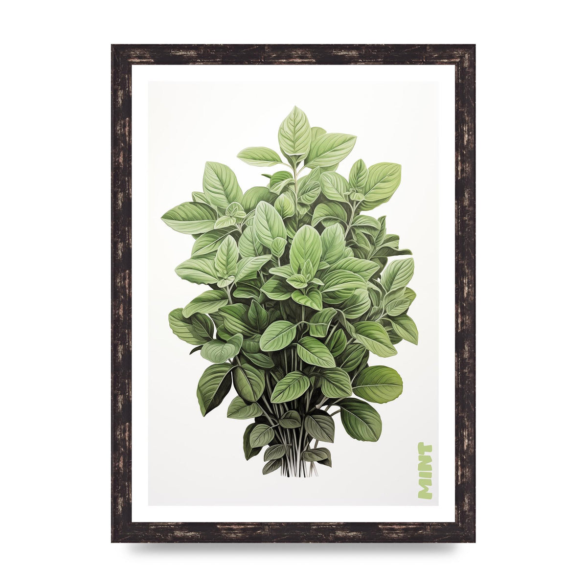 Mint Leaves Black and White Refreshment