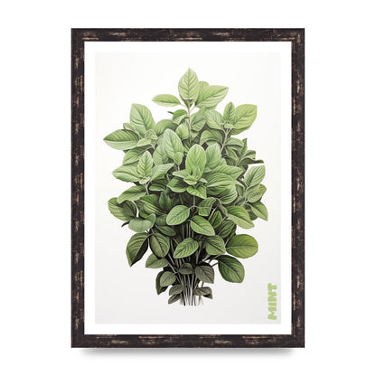 Mint Leaves Black and White Refreshment