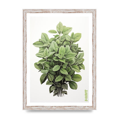 Mint Leaves Black and White Refreshment