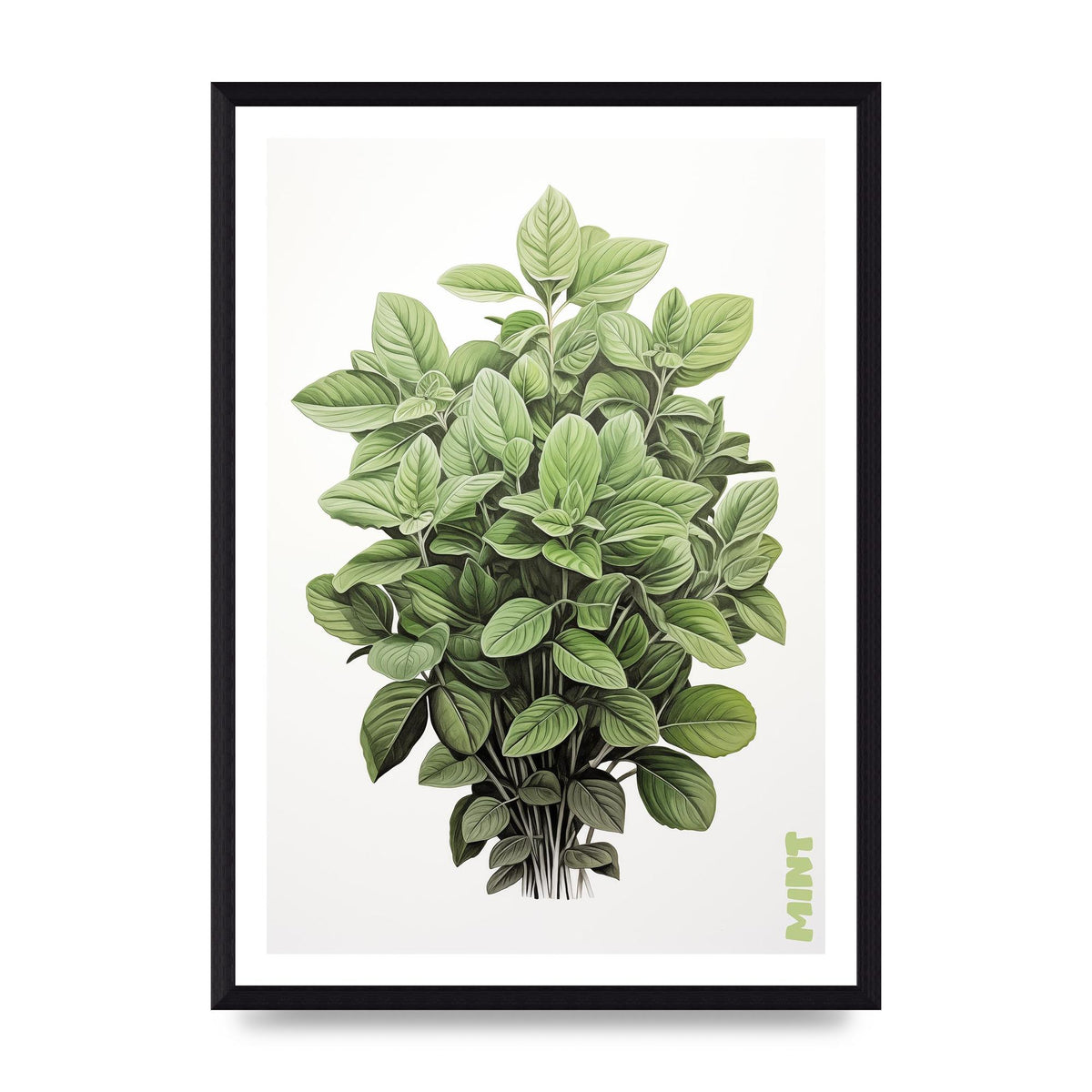 Mint Leaves Black and White Refreshment