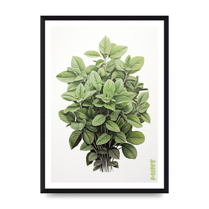 Mint Leaves Black and White Refreshment