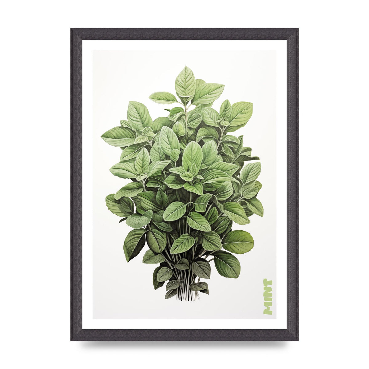 Mint Leaves Black and White Refreshment