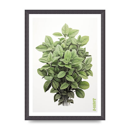 Mint Leaves Black and White Refreshment