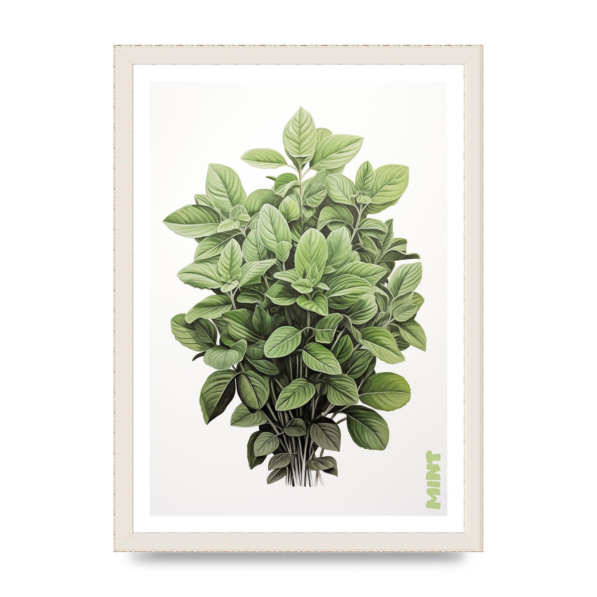 Mint Leaves Black and White Refreshment