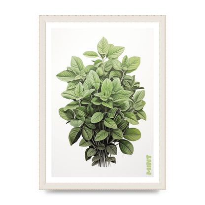Mint Leaves Black and White Refreshment