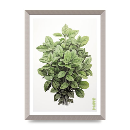 Mint Leaves Black and White Refreshment