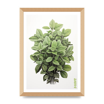 Mint Leaves Black and White Refreshment