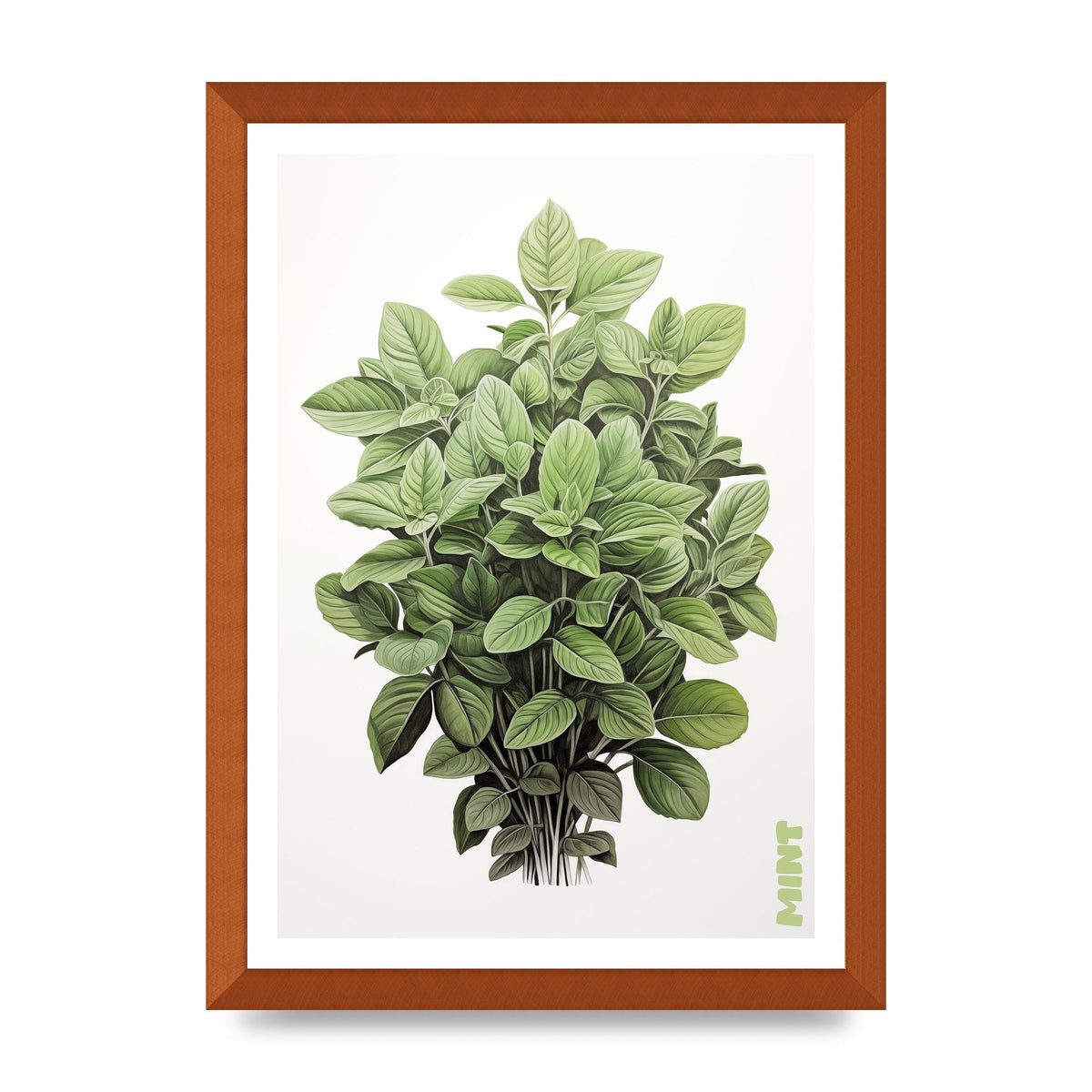 Mint Leaves Black and White Refreshment