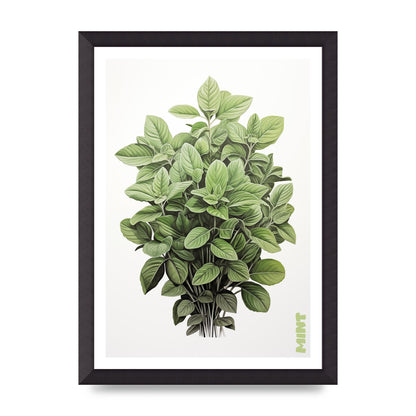 Mint Leaves Black and White Refreshment