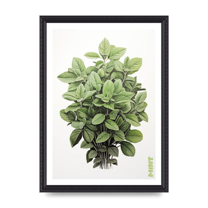 Mint Leaves Black and White Refreshment