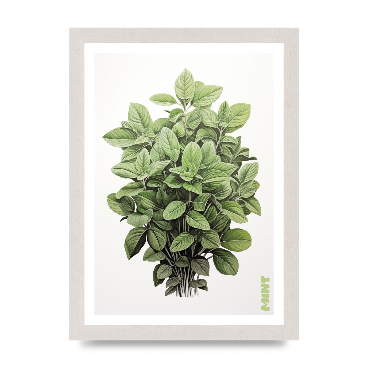 Mint Leaves Black and White Refreshment